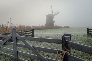 Koude ochtend in de polder van Eefje John