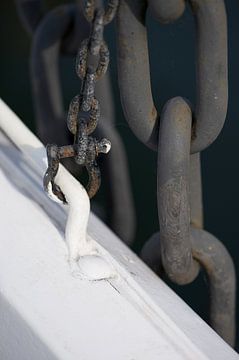 Chain I van Mark Leek