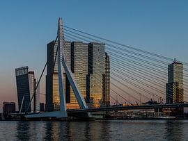 Skyline Rotterdam von Wethorse Heleen