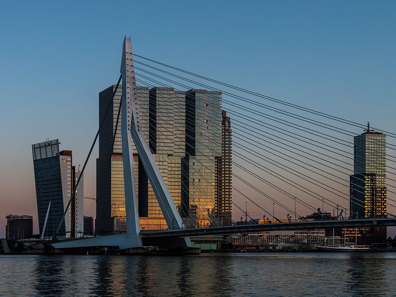 Skyline Rotterdam van Wethorse Heleen