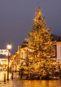 Doesburg Teil 5 von Tania Perneel