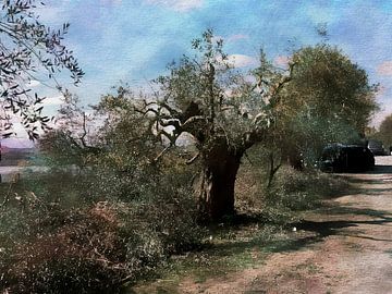 Tag des Olivenbaumschnitts