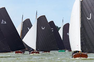 Skûtsje zeilboten op het IJsselmeer