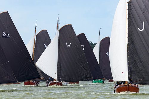 Skûtsje zeilboten op het IJsselmeer
