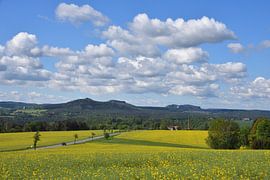 Saxon Switzerland by Karin Jähne