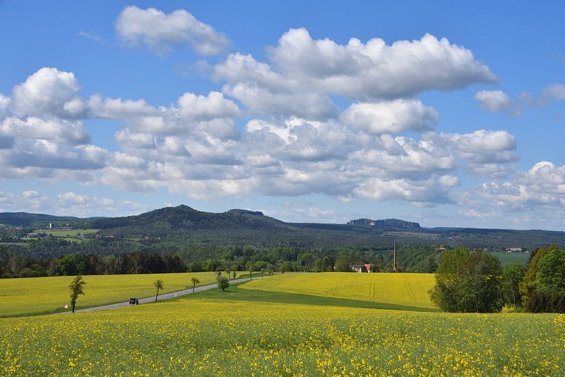 Sächsische Schweiz von Karin Jähne