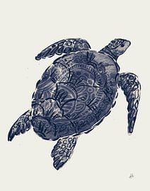 Ocean findet IV Navy, Daphne Brissonnet von Wild Apple