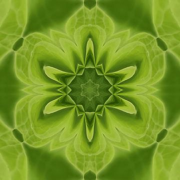 Healing by Herzblüte