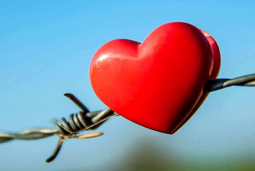Heart on the fence by Norbert Sülzner