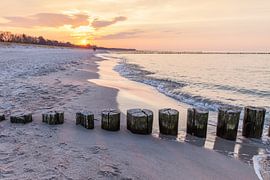 Buhnen am Strand von Zingst von Christian Müringer
