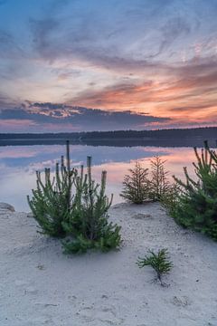 Zonsopkomst bij het Gasselterveld, Drente (Hondsrug) van Rossum-Fotografie