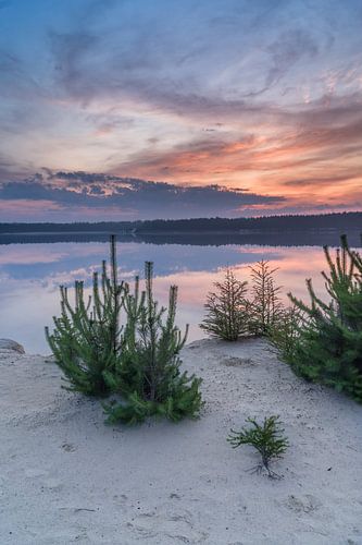 Zonsopkomst bij het Gasselterveld, Drente (Hondsrug)