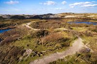 Wandelpad in de duinen van Egmond