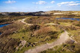 Wandelpad in de duinen van Egmond van Fotografie Egmond