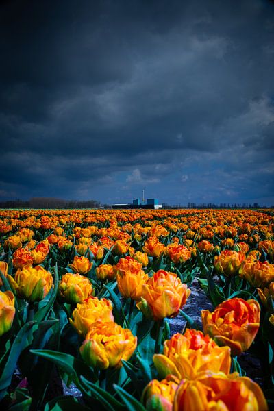 Nuages menaçants par peterheinspictures
