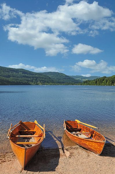 at Titisee in the Black Forest by Peter Eckert