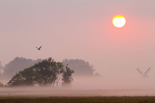 Lever de soleil avec moulin à vent et soleil levant