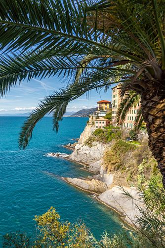 de kust van Camogli, Ligurië, Italië
