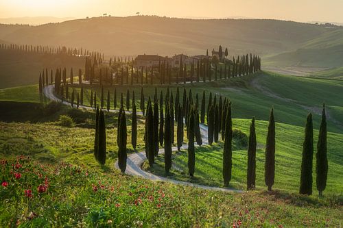 Toskana, Sonnenuntergang, Val d' Orcia