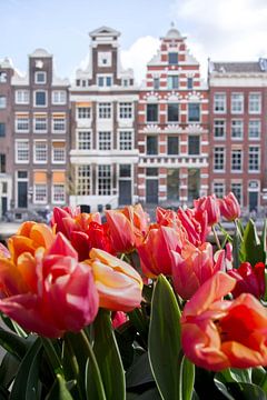 Tulipes pour les maisons des canaux à Amsterdam sur Romy Oomen