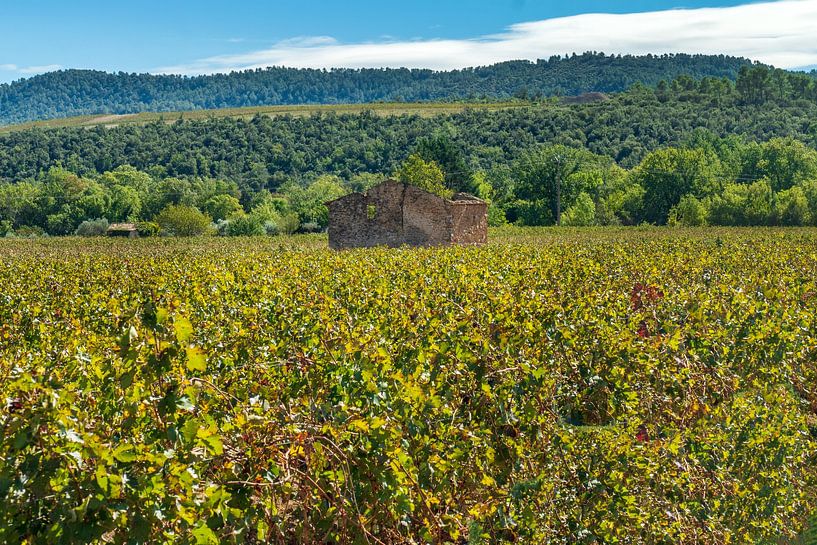 Ruinie im Weinberg in der Provence von Flatfield