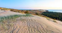 Grijze duinen in de herfst. Curonian Spit, Litouwen