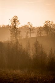 Landscape in Misty Glow Autumn silhouettes in Golden Light by Femke Ketelaar