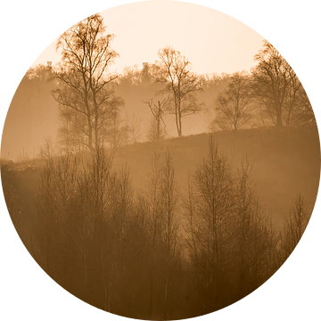 Landschap in Nevelige Gloed Herfstsilhouetten in Gouden Licht van Femke Ketelaar