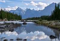 Rivière Athabasca, Parc national Jasper, Montagnes Rocheuses, Alberta, Canada