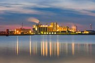 Kleurrijke industrie, Chemiepark Delfzijl van Annie Jakobs thumbnail