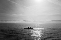 Rowers in Lisbon, Portugal