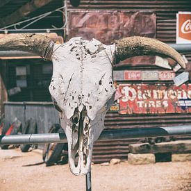 American West - Cow Skulls 66 sur Philippe HUGONNARD
