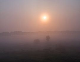 Rulstraat tussen Megen en Haren in de mist von Wouter Bos