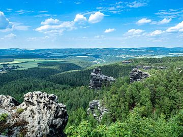 Blick über die Felsen des Elbsandsteingebirge von Animaflora PicsStock