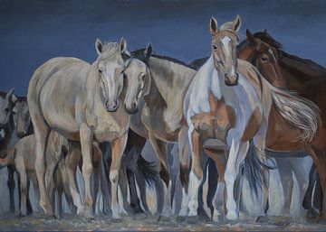 Wilde mustangs