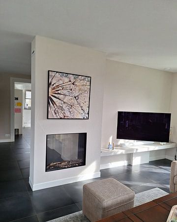 Paardenbloem Dauwdruppels 