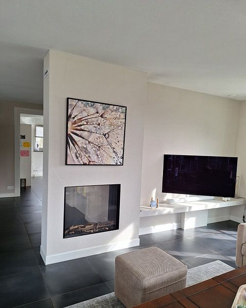 Paardenbloem Dauwdruppels 