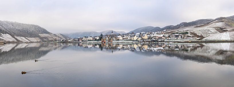 Bruttig-Fankel, Moselle, Rhineland-Palatinate, Germany by Alexander Ludwig