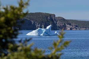 Eisberg vor der Küste von Twillingate Neufundland