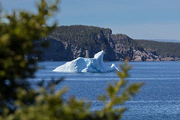 IJsberg voor de kust van Twillingate Newfoundland van Menno Schaefer