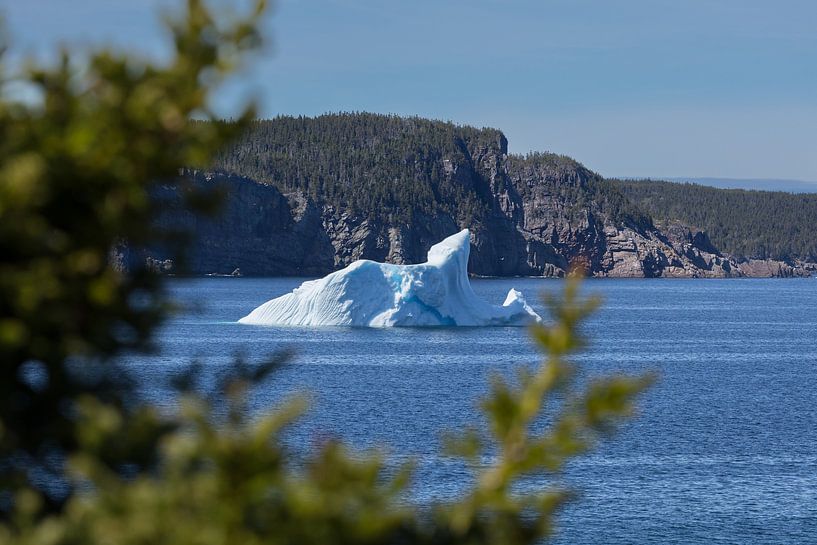 Iceberg off the coast of Twillingate Newfoundland by Menno Schaefer