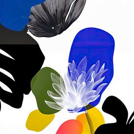 White flower with black leaves and coloured patches by May