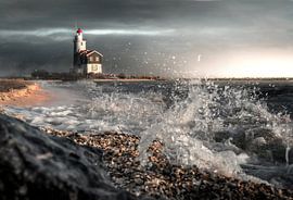 Paard in de storm by Wesley Heyne