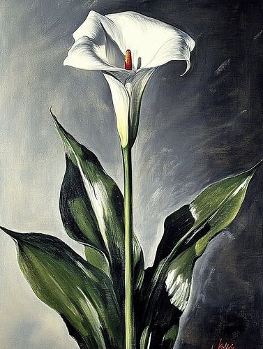 Solitär - Weiße Calla