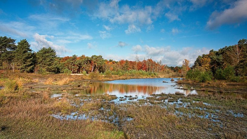 Roode Beek @ Brunssummerheide by Rob Boon