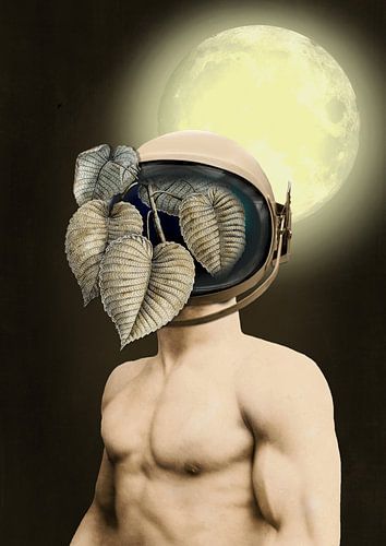 Then Things Got Weird...