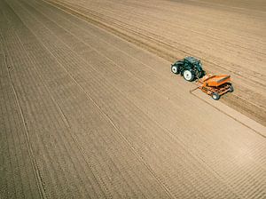 Traktor beim Einpflanzen von Kartoffelsetzlingen in den Boden während des Frühjahrs