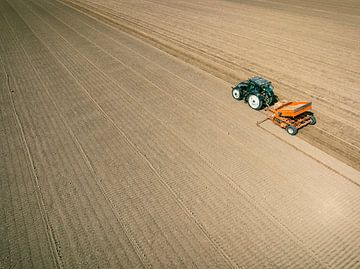 Tractor planting potato seeldings in  the soil during springtim by Sjoerd van der Wal