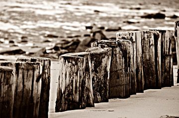 Strandstangen  von Jessica Berendsen