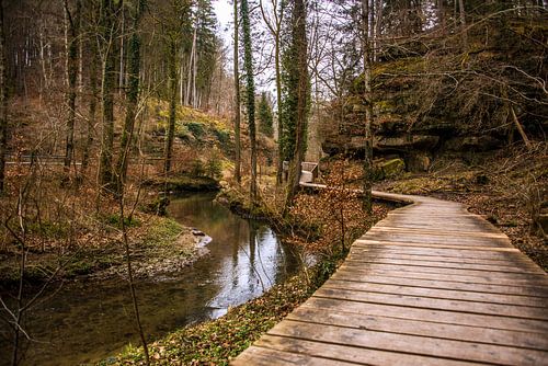 Sentier d'automne dans la vallée de Mullertal